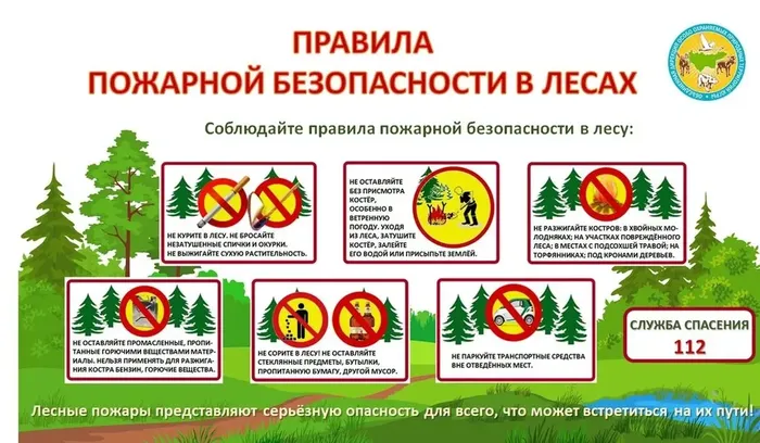 Безопасносить в лесах пожарная
